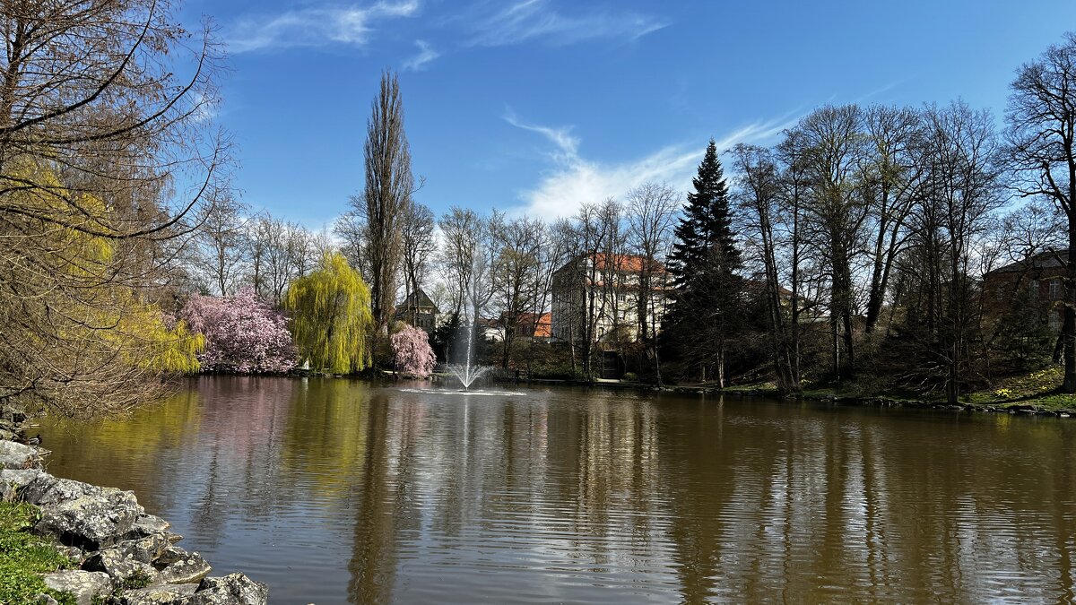 Мир Природы "Natural World" - "The Natural World" Александер Мир Природы "Natural World" - "The Natural World" Александер