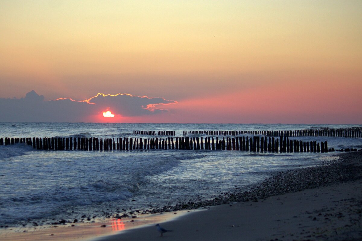 Выглянуло солнце - Юрий. Шмаков Выглянуло солнце - Юрий. Шмаков