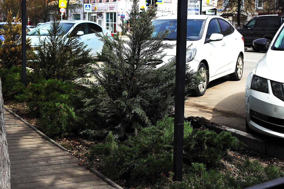 На улице - Юрий Гайворонскiий