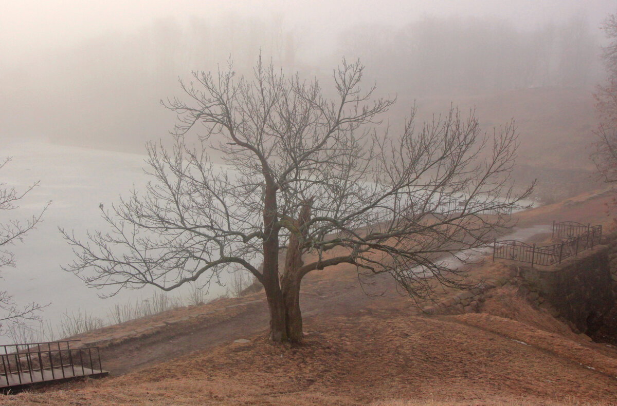 *** - Сергей Григорьев