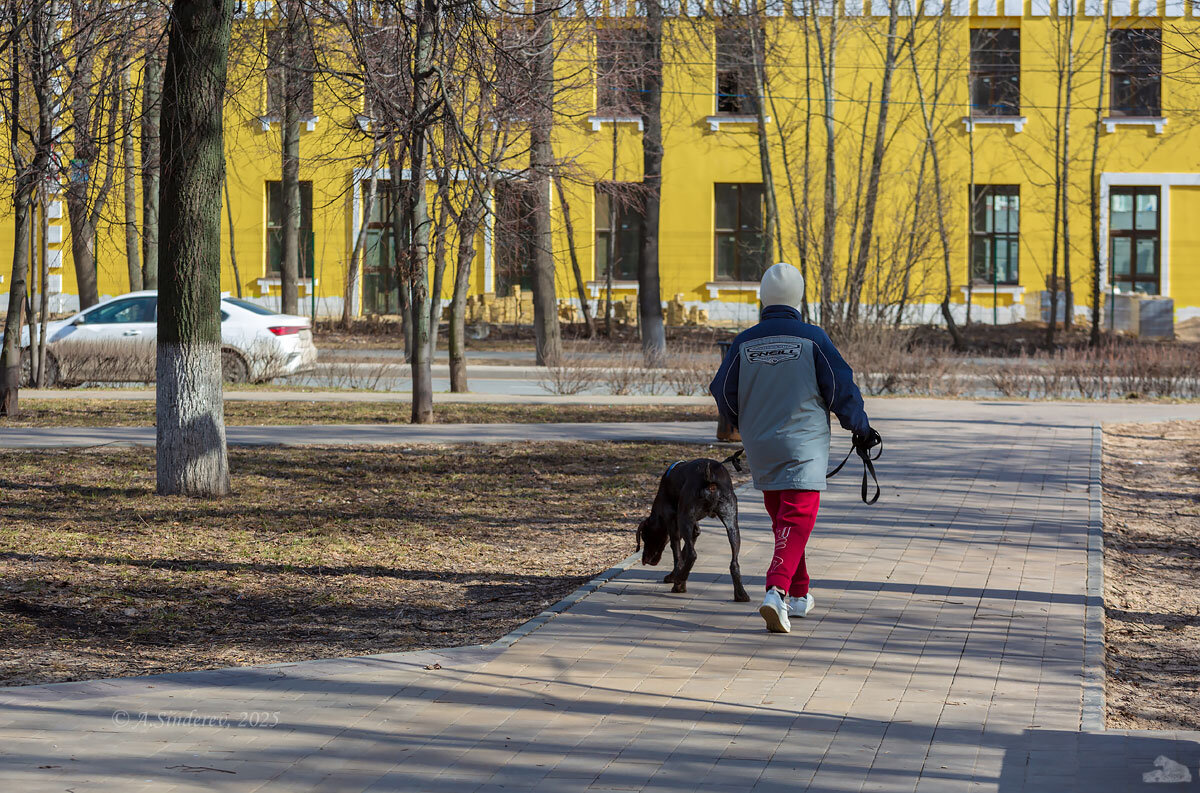Прогулка с собакой - Александр Синдерёв