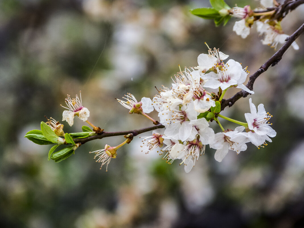 Пробуждение - Валентин Семчишин