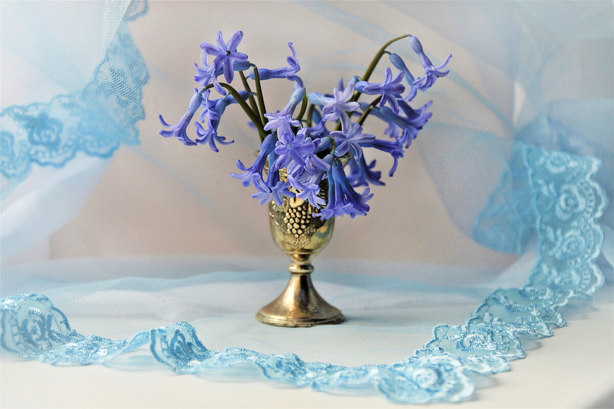 *** - Надежда Куркина