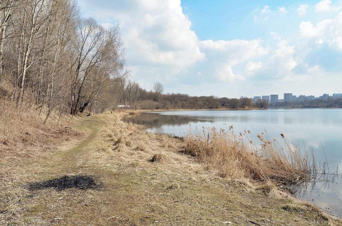 Конец марта. Москва - Oleg4618 Шутченко