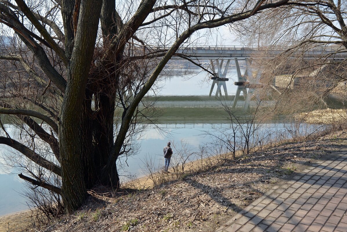 Борисовские пруды - Oleg4618 Шутченко Борисовские пруды - Oleg4618 Шутченко