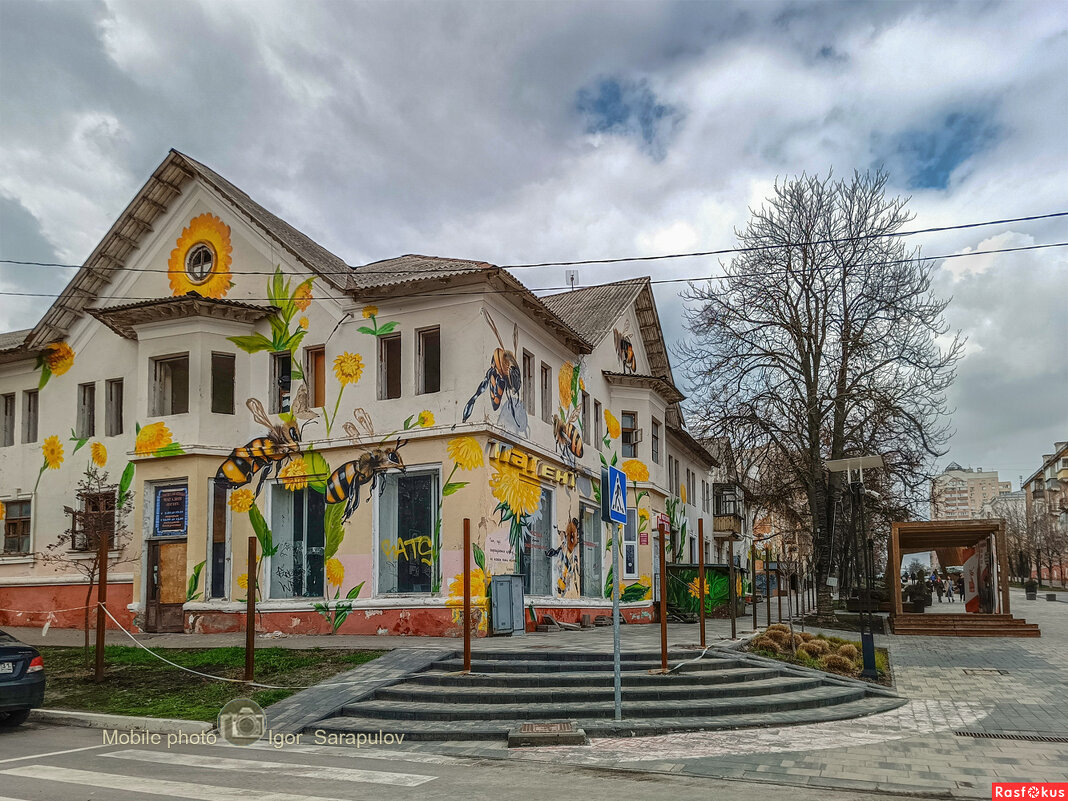 Известный дом с пчёлками перед сносом - Игорь Сарапулов