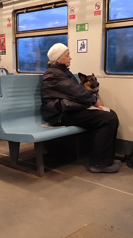 С другом в путь-дорогу! - Ольга С другом в путь-дорогу! - Ольга