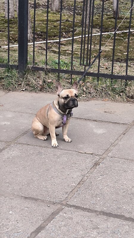 Ожидание. - Ольга Ожидание. - Ольга