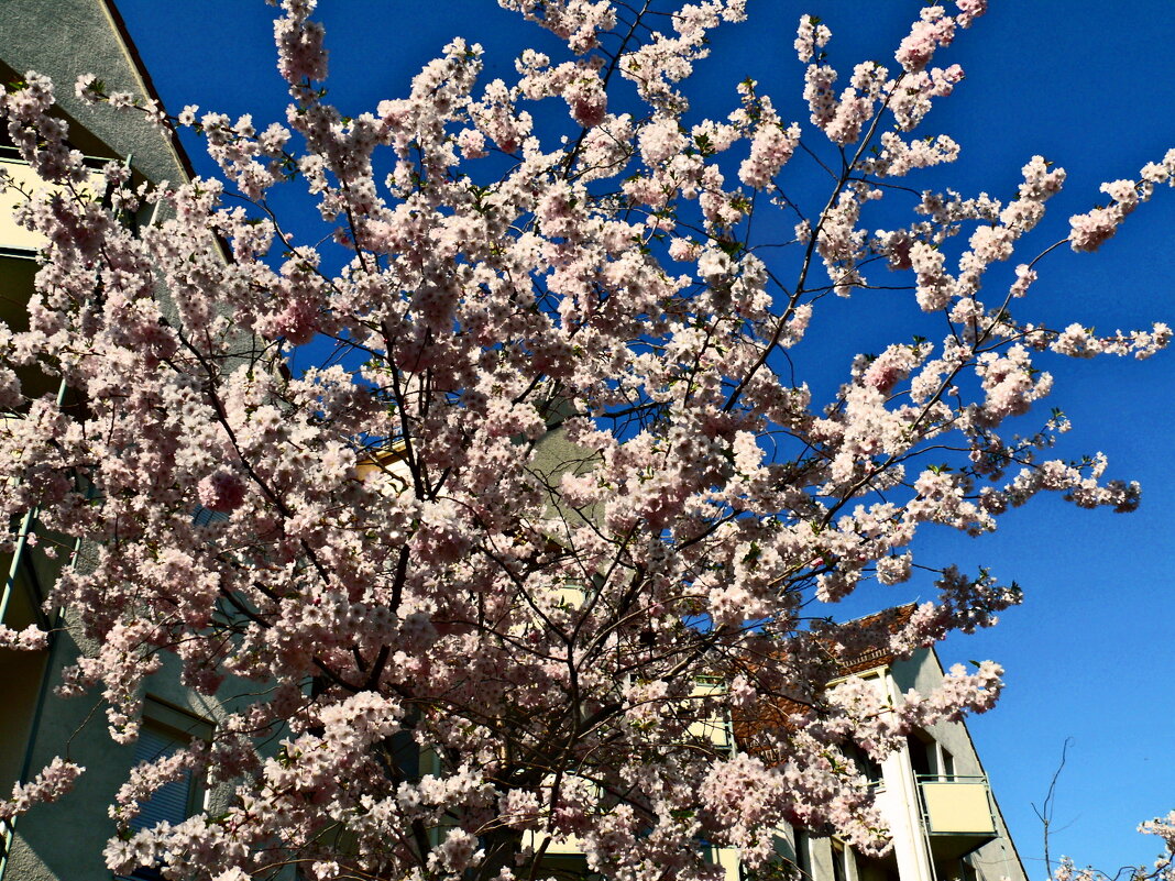 Весенние зарисовки 76 - Алексей Кузнецов