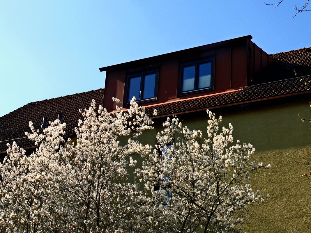 Весенние зарисовки 80 - Алексей Кузнецов