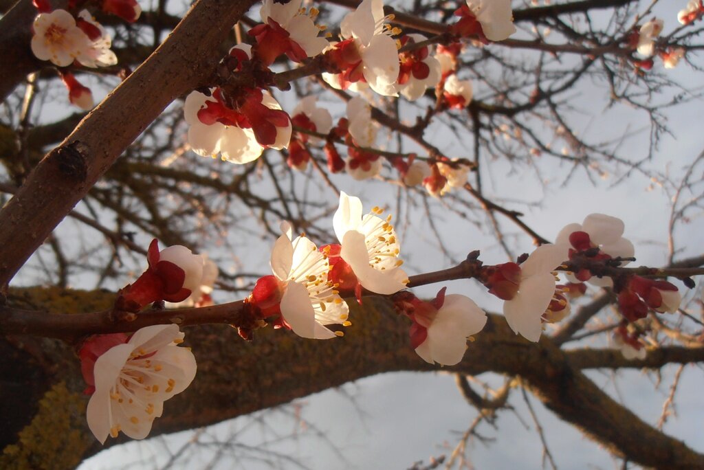 Солнечный луч - Наталья 