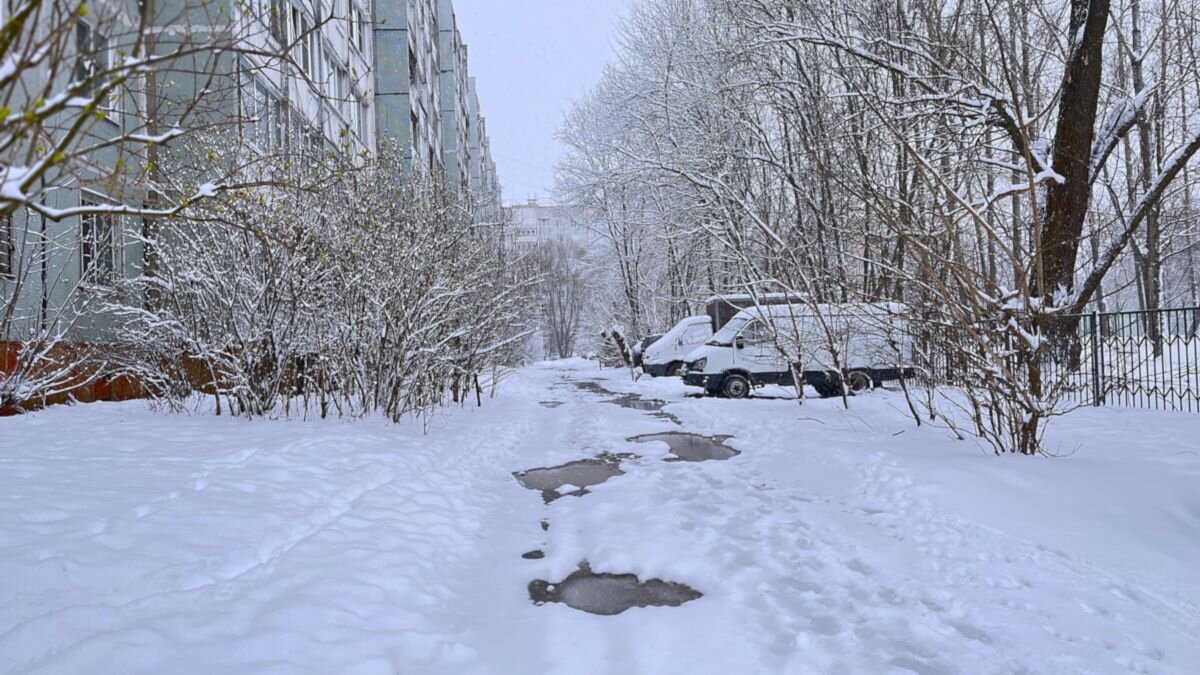 ***апрельская неожиданность*** - Olga Oskolkova