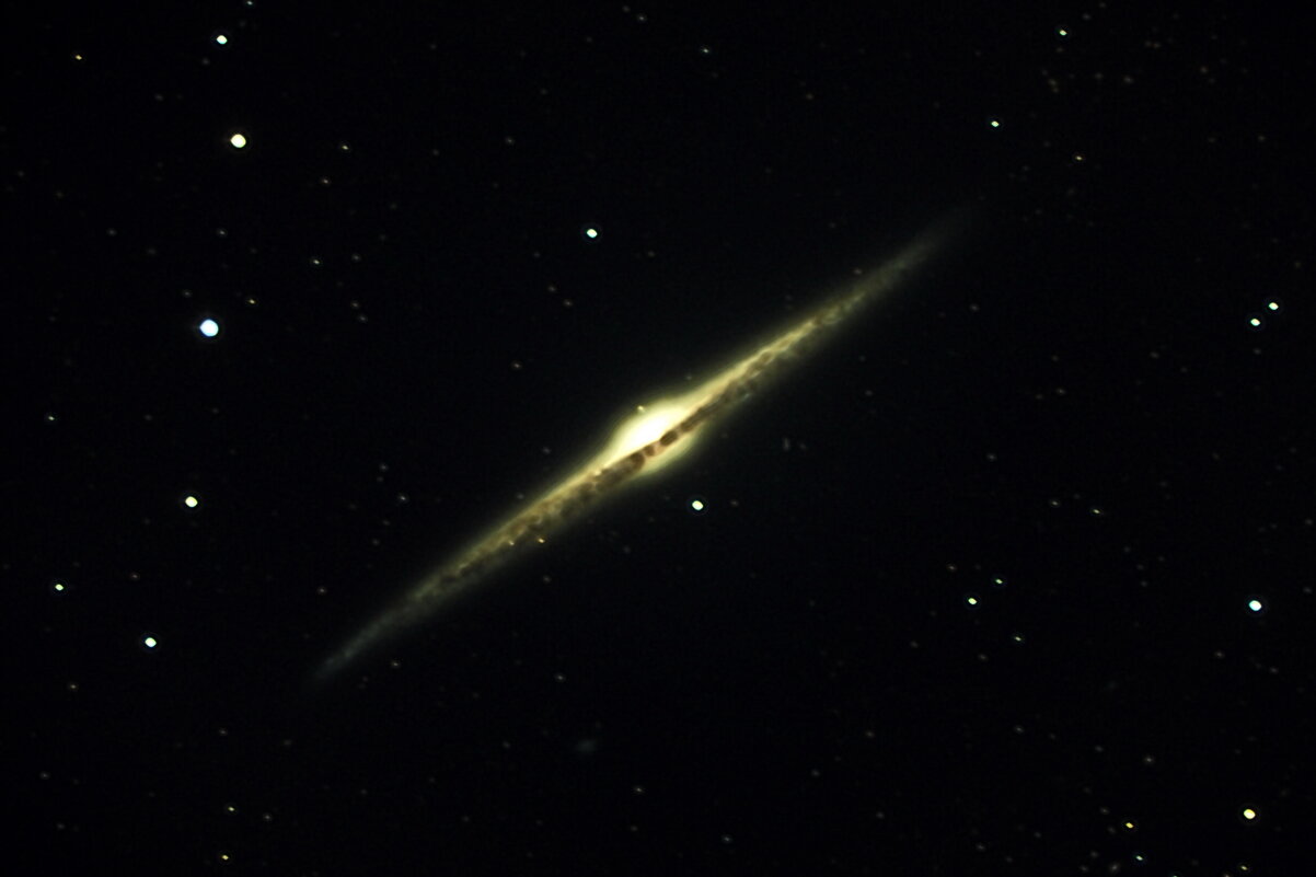 NGC 4565 - Михаил Сипатов