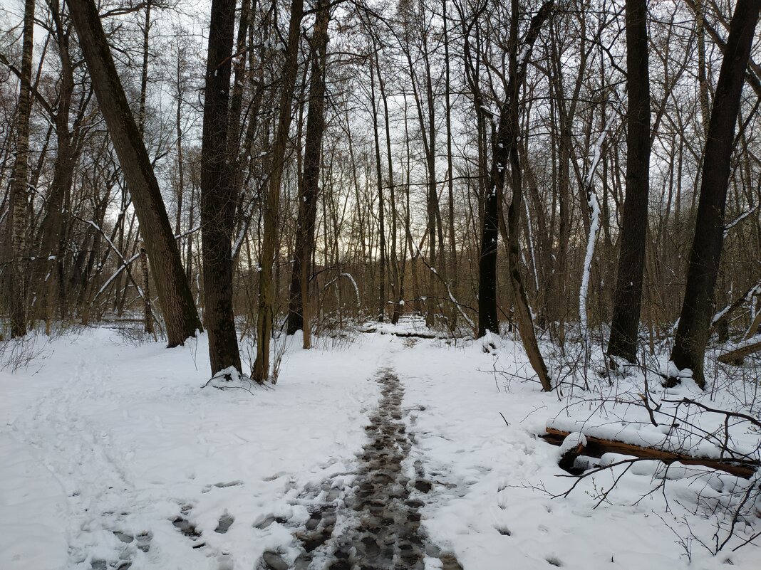 Апрель в Измайловском парке - Андрей Лукьянов Апрель в Измайловском парке - Андрей Лукьянов