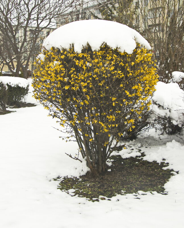 Апрельский снег - Владимир Зырянов