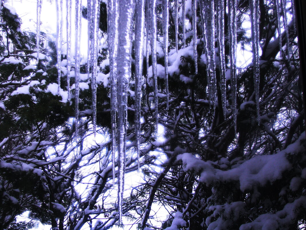 "Занавеска" на окне - Людмила Смородинская