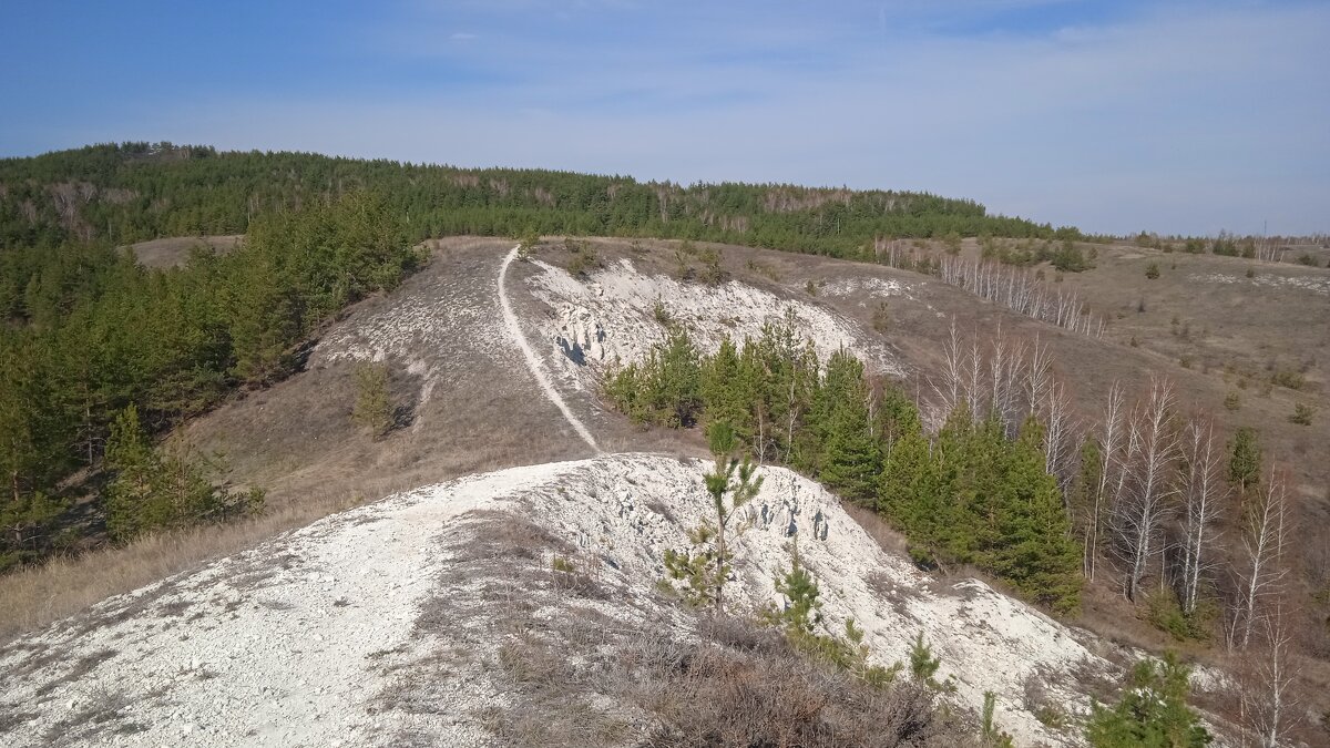 три шишки - Елена Шаламова три шишки - Елена Шаламова