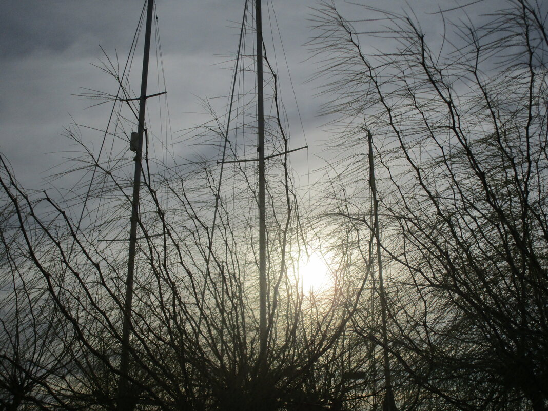 Вечер в Кушадасах - Елена Шаламова Вечер в Кушадасах - Елена Шаламова
