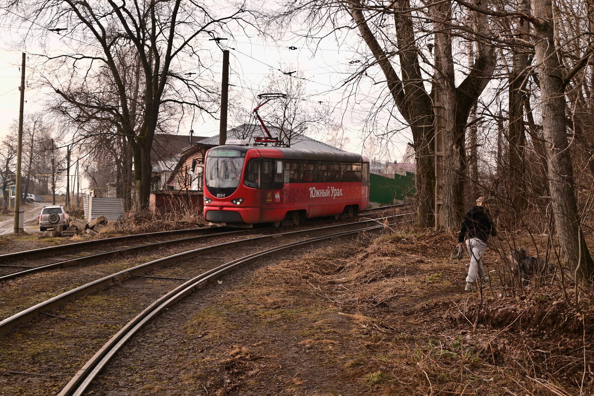 Случайные, неслучайные кадры - Владислав Левашов Случайные, неслучайные кадры - Владислав Левашов