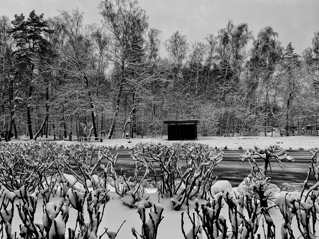 ***** - Алексей Архипов ***** - Алексей Архипов