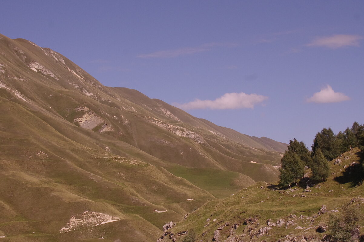 Летний день - Сергей Швечков