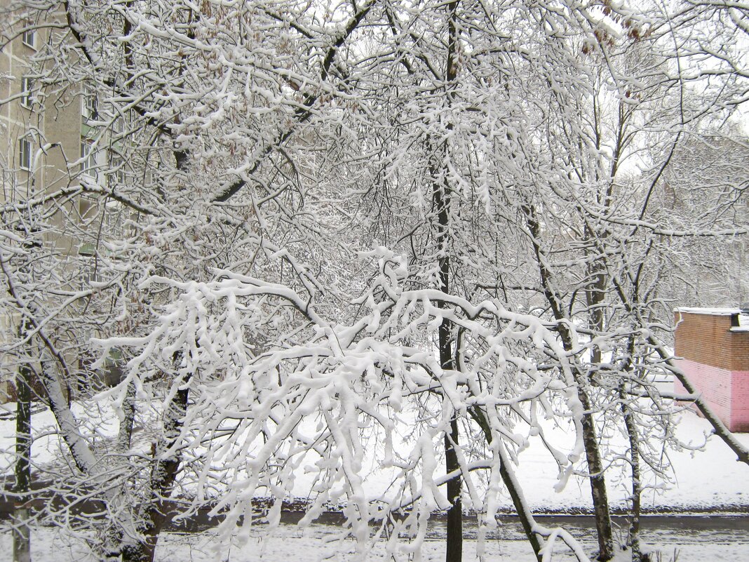 Зима в апреле - Елена Семигина