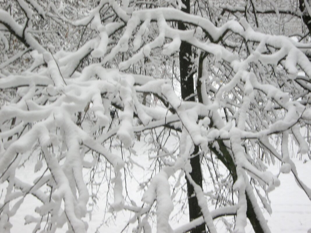 Зима в апреле - Елена Семигина