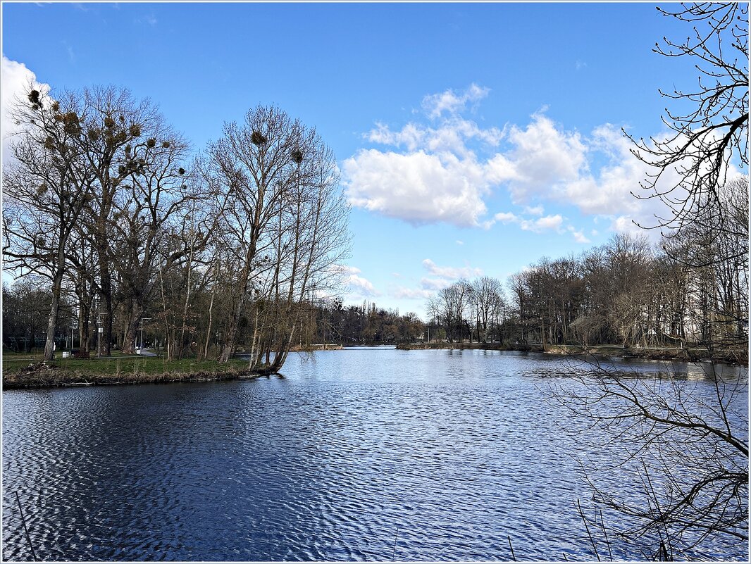 Парковое озеро. - Валерия Комова Парковое озеро. - Валерия Комова