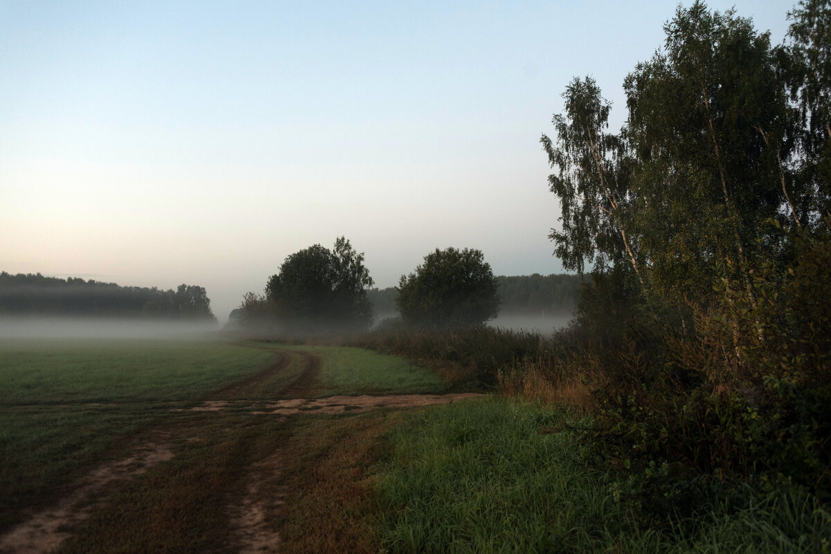 *** - Владимир Безбородов *** - Владимир Безбородов