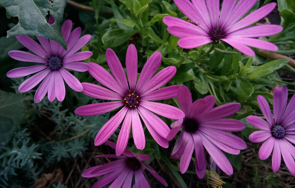 ,,, - Сергей Тимоновский