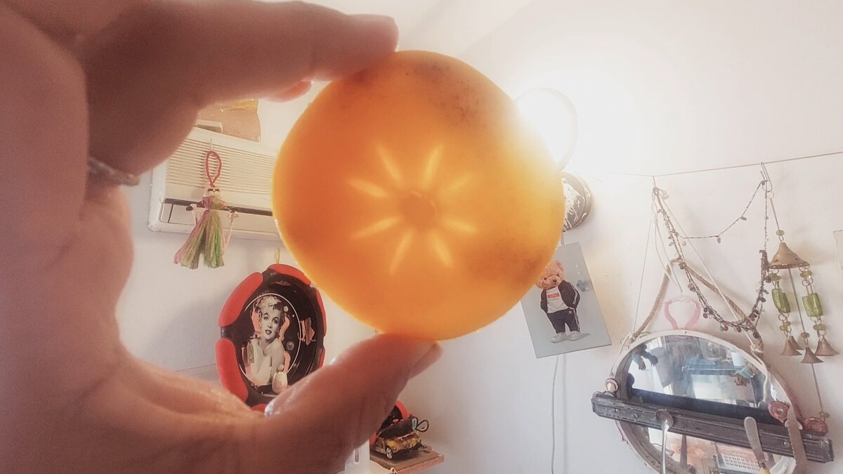 12  КЛОС (931) - CLOSE WAYS ALL