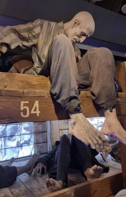 «Поезд Победы» - Tata Wolf