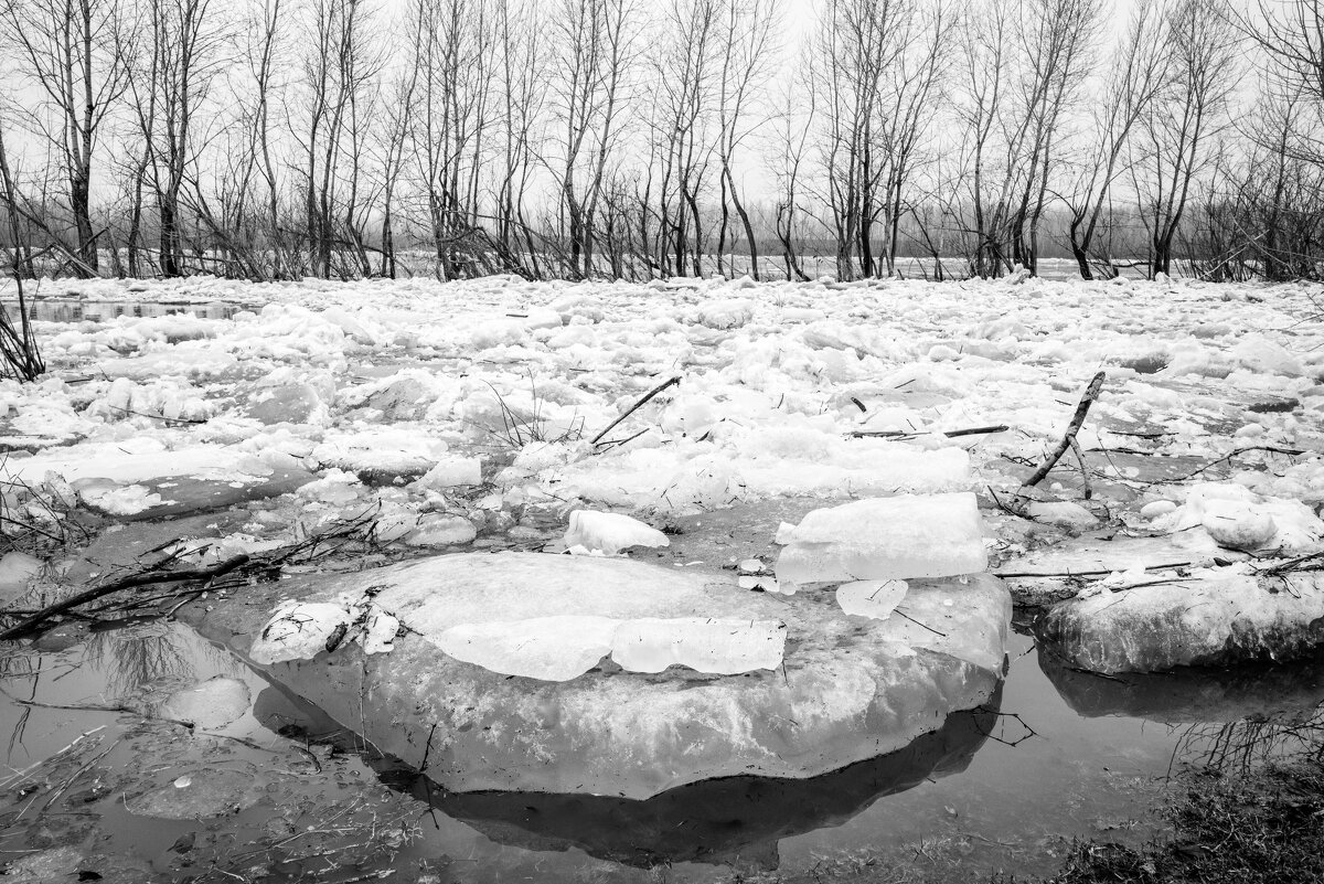 *** - Валерий Михмель 