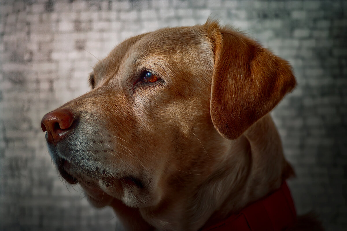 ... - Игорь Хижняк ... - Игорь Хижняк