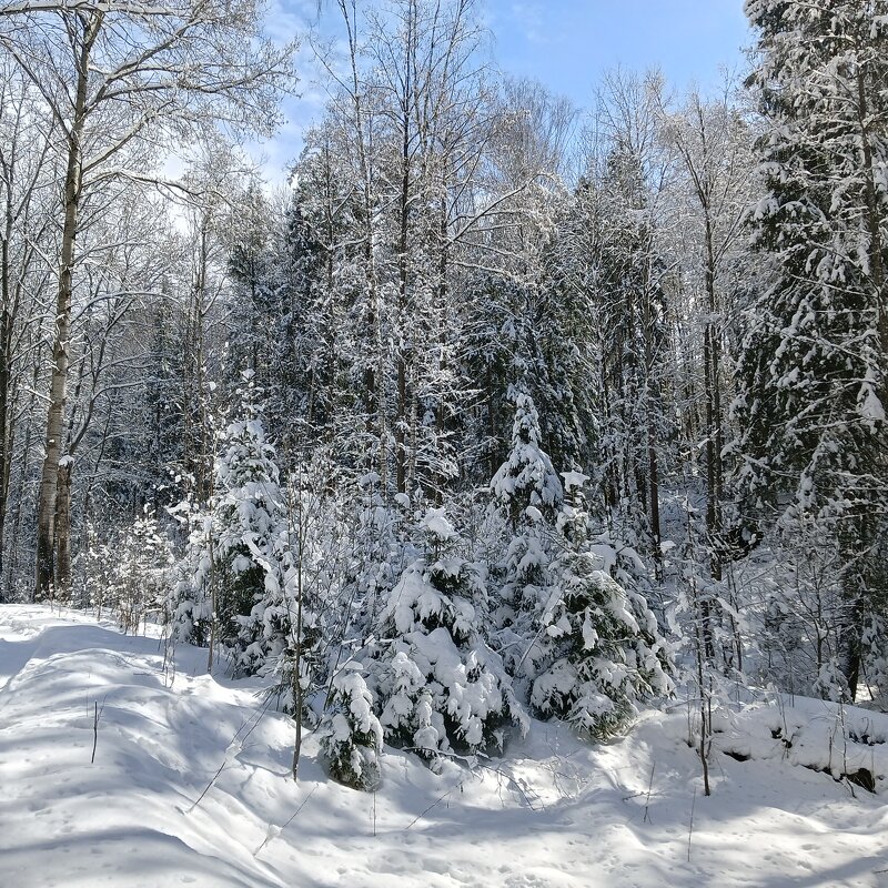 природа - Владимир 