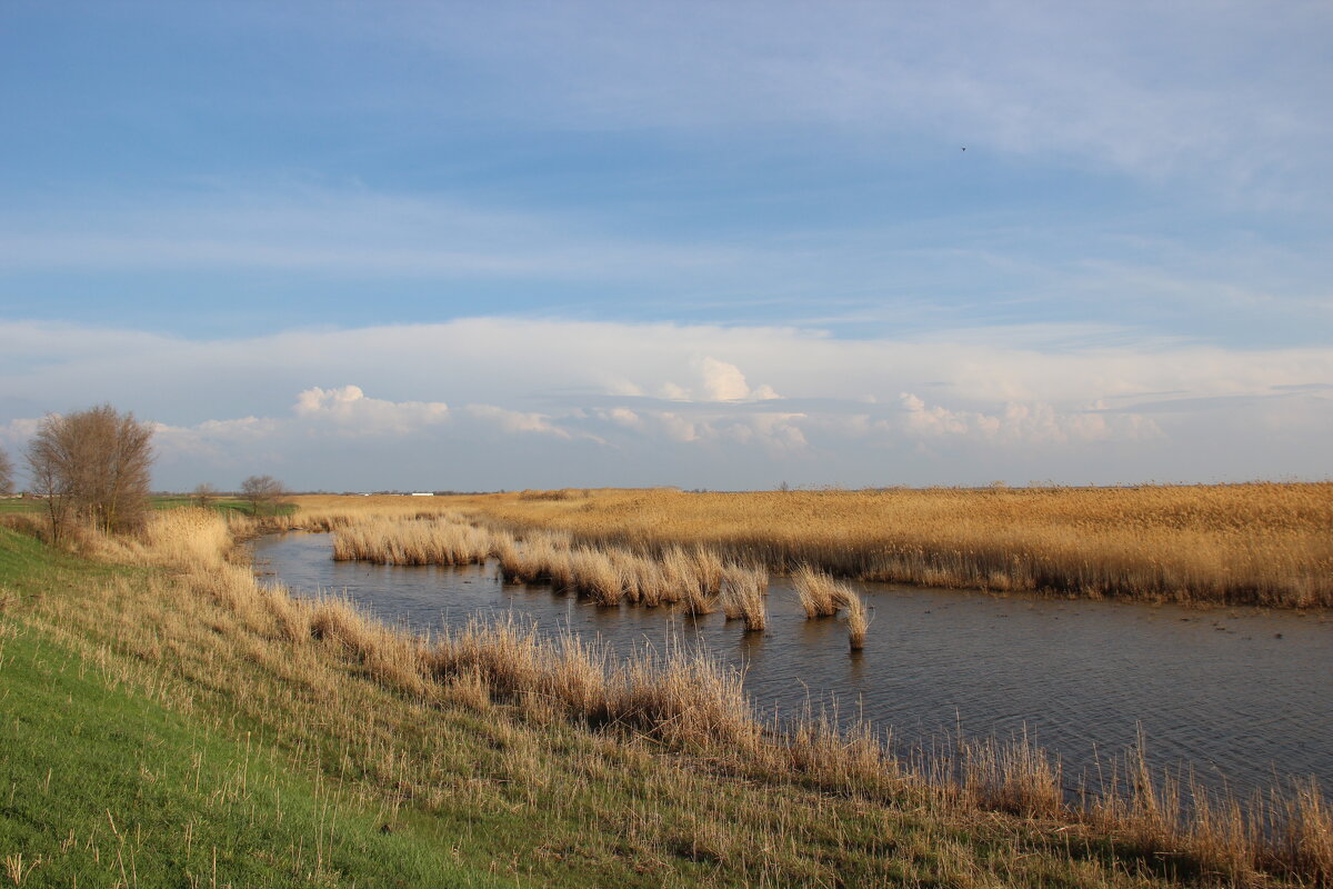 **** - Виктор **** - Виктор