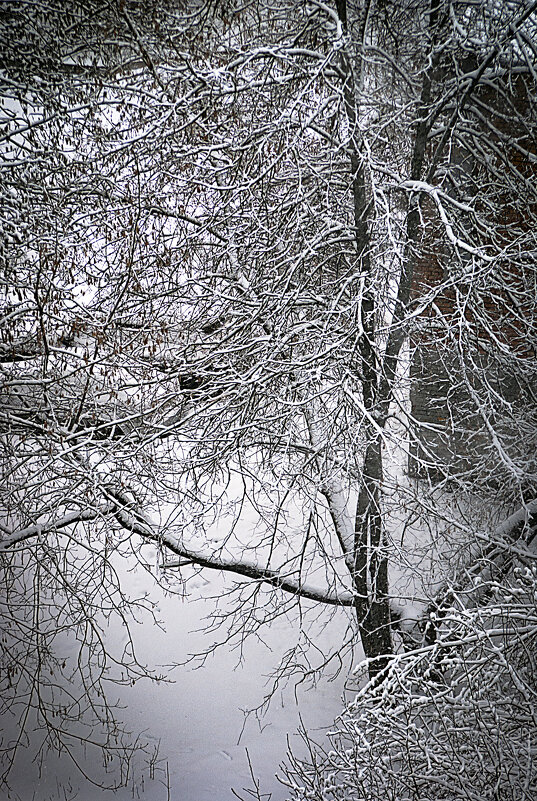Этюд с апрельским снегом - Владимир Кроливец