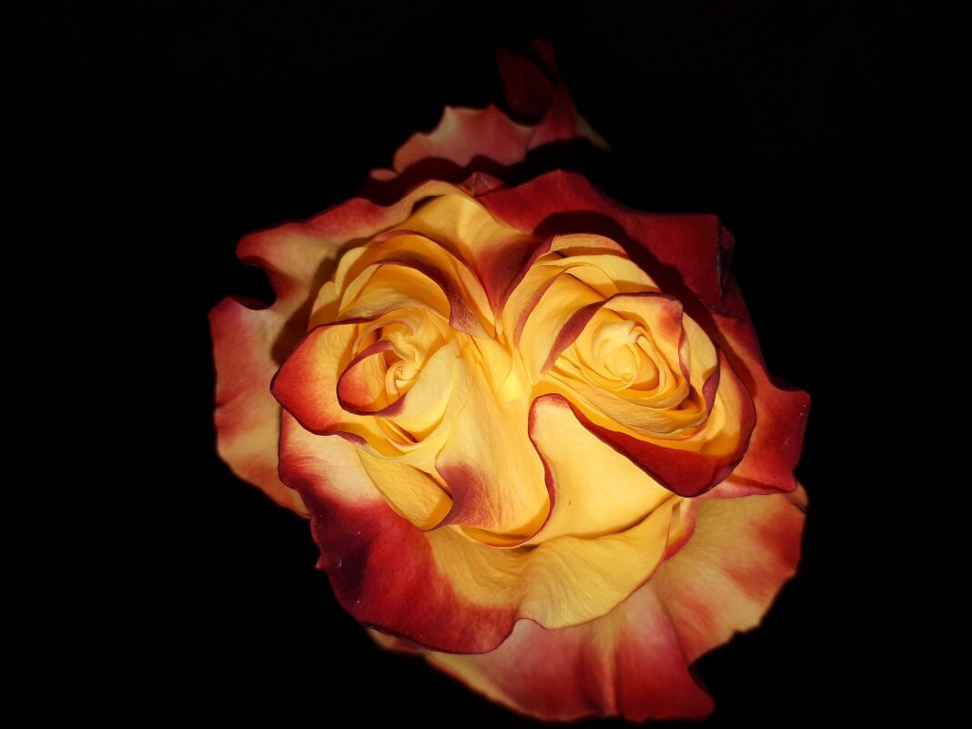 Портрет "Ягуси" - Надежда 