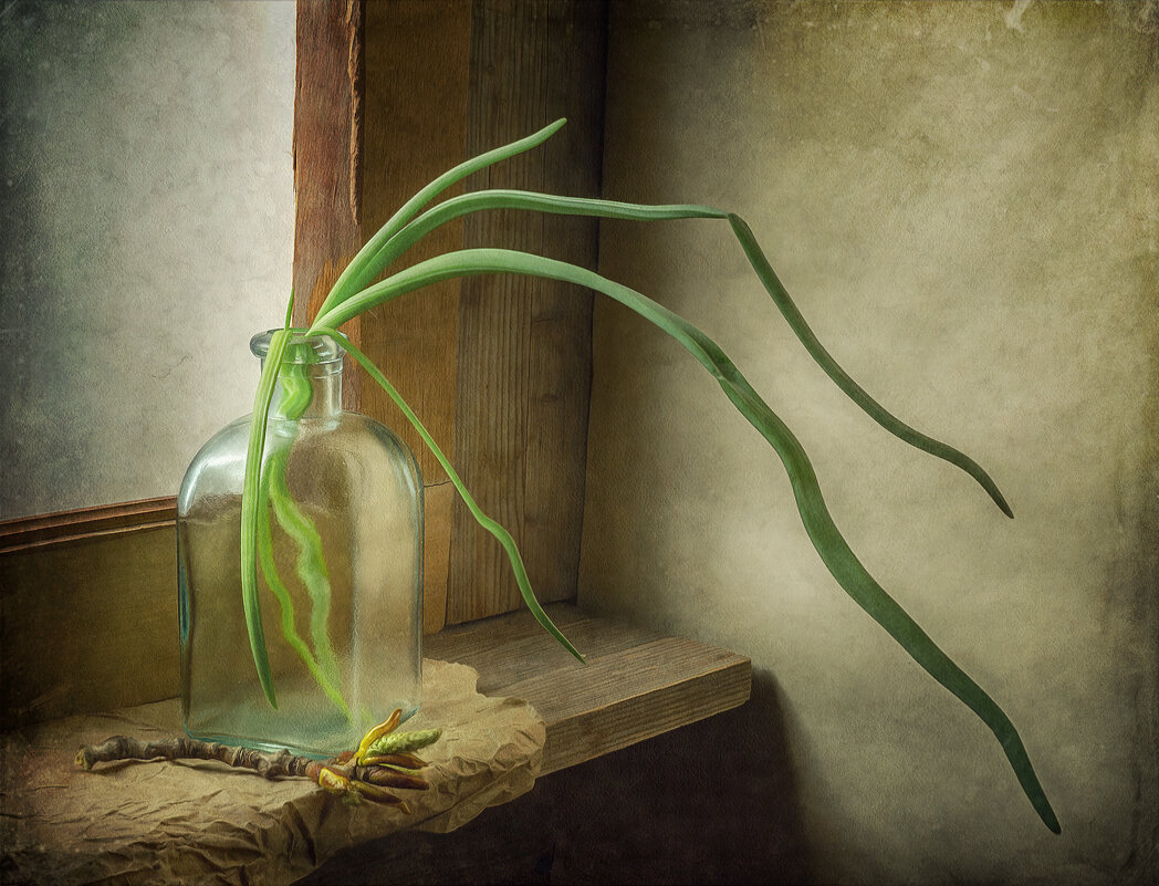 *** - Oleg Rastorguev *** - Oleg Rastorguev