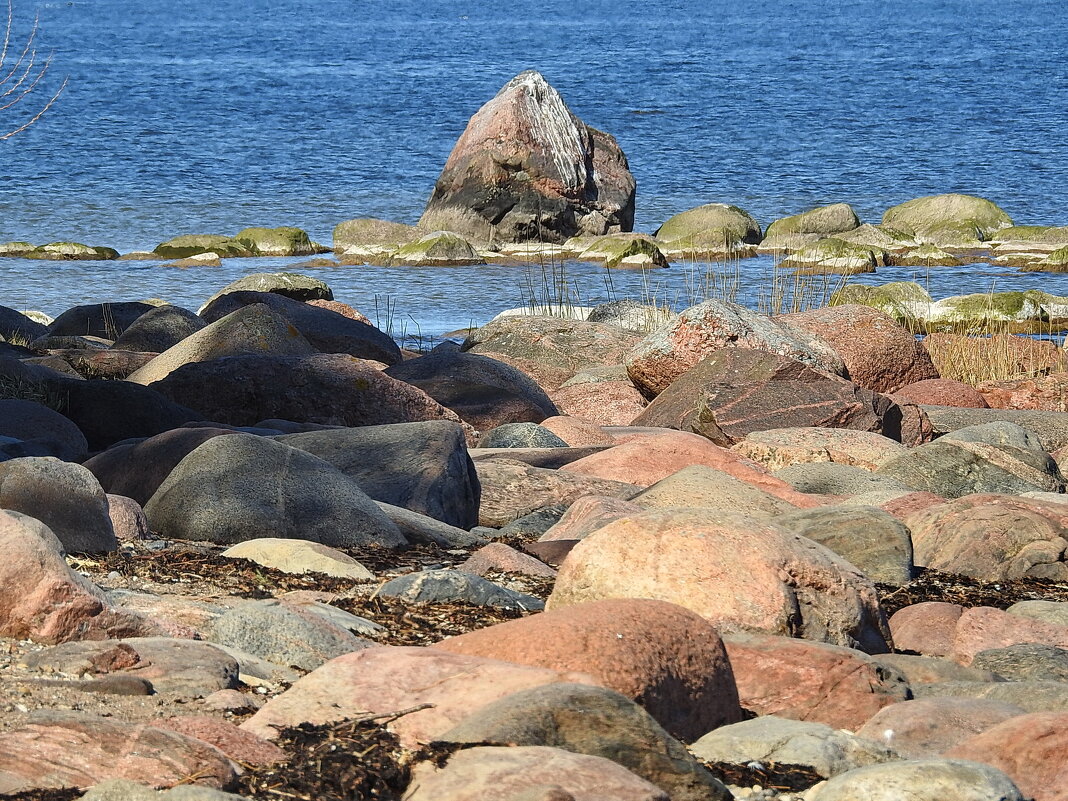 весна - ИННА ПОРОХОВА весна - ИННА ПОРОХОВА