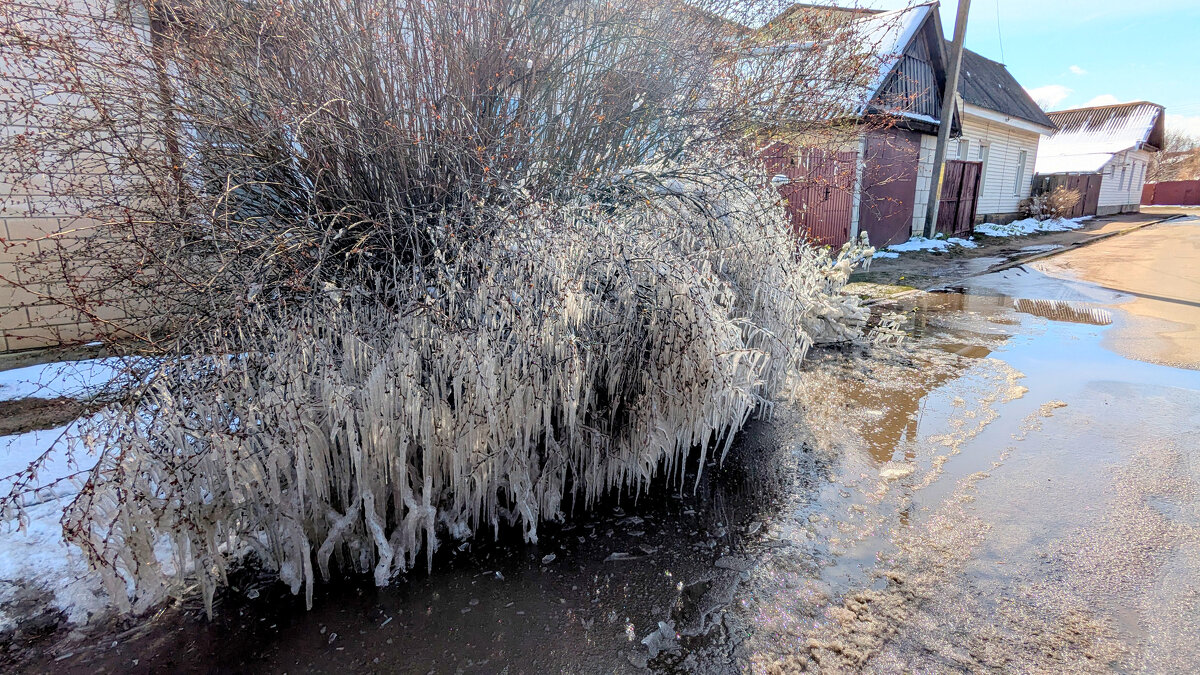 начало апреля 13 - Александр Прокудин начало апреля 13 - Александр Прокудин