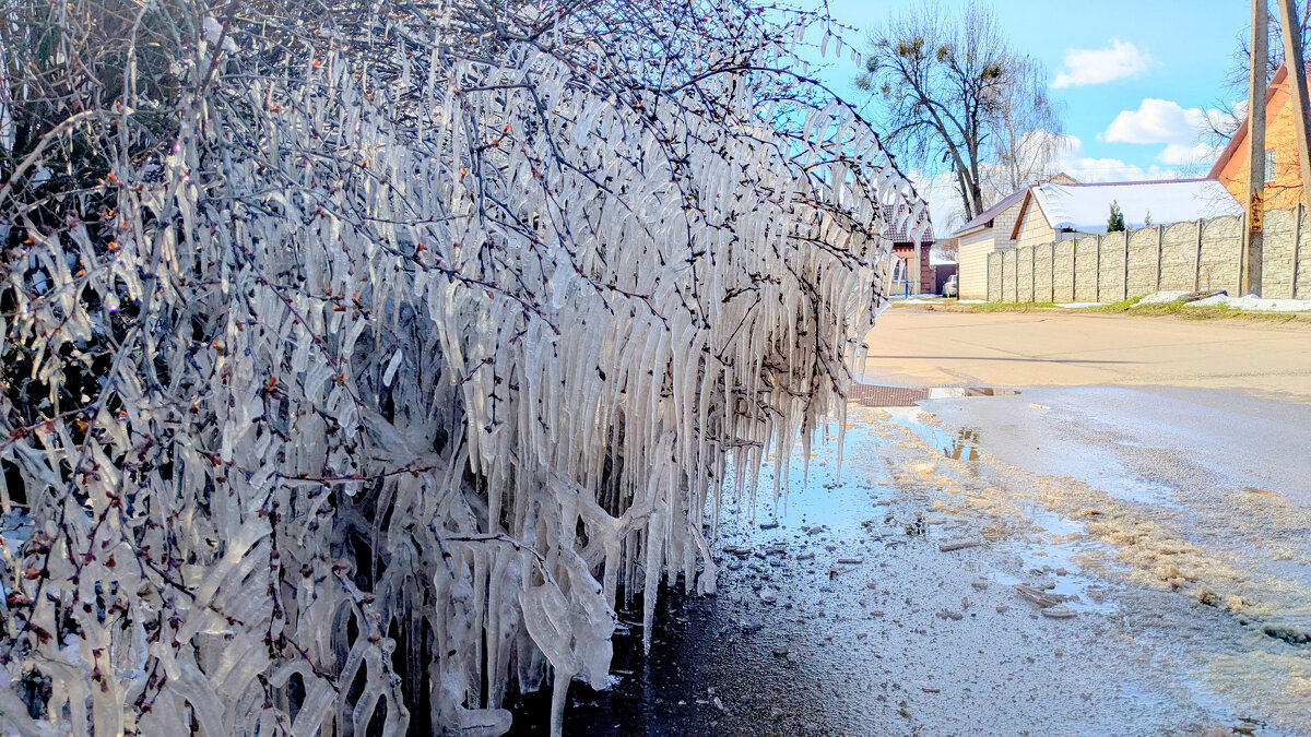 начало апреля 15 - Александр Прокудин начало апреля 15 - Александр Прокудин