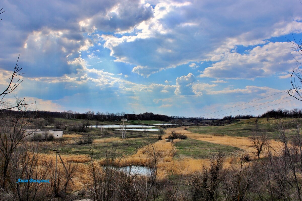 Озёра - аквариумы для выращивания рыбы на продажу. - Восковых Анна Васильевна Озёра - аквариумы для выращивания рыбы на продажу. - Восковых Анна Васильевна