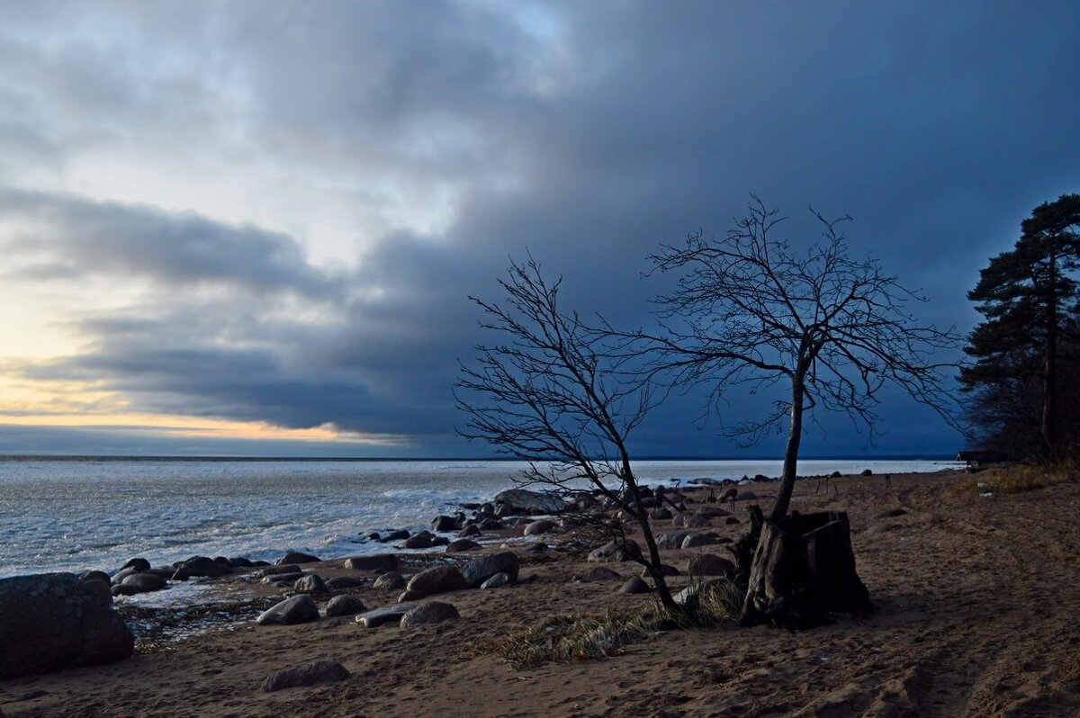 Зимним вечером...... - Юрий Цыплятников