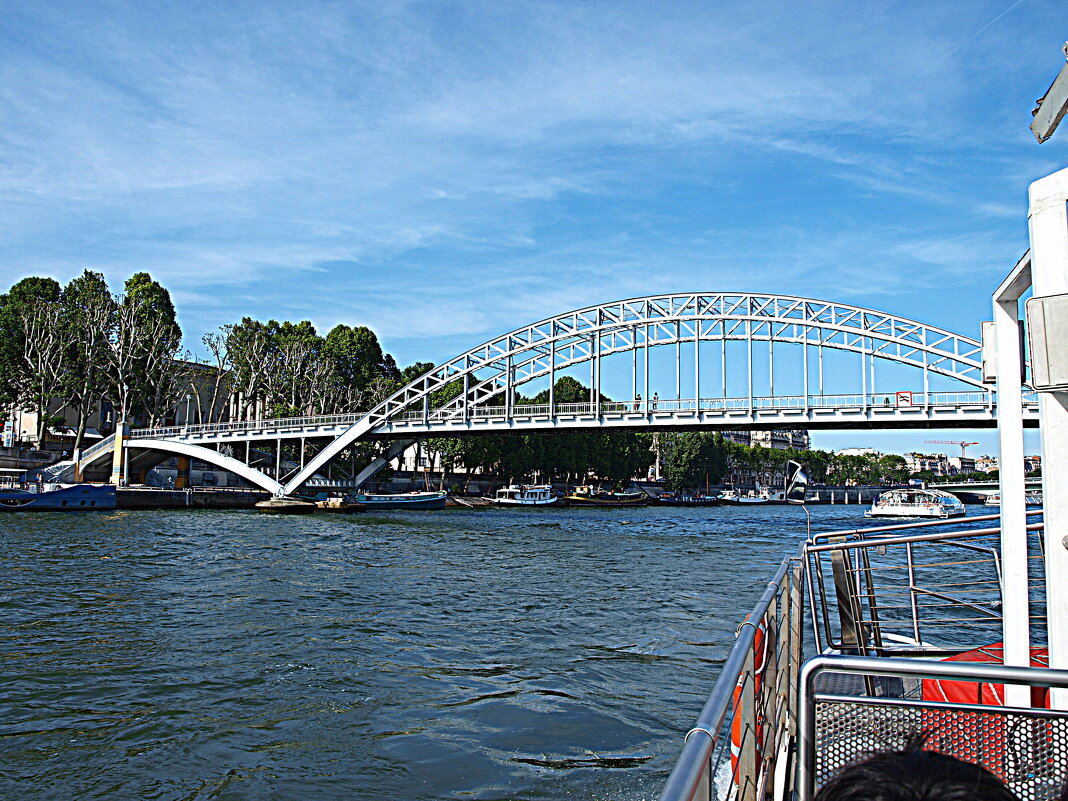 Париж. - Владимир Драгунский