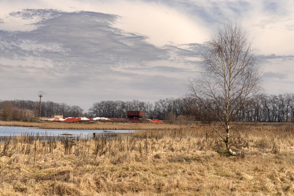 На городских окраинах. - Игорь Сикорский На городских окраинах. - Игорь Сикорский