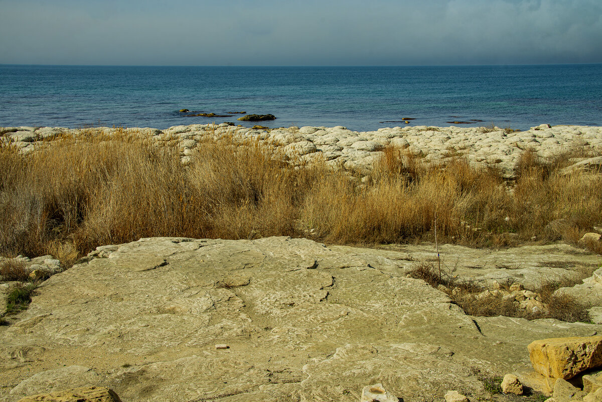 Берег - Анатолий Чикчирный