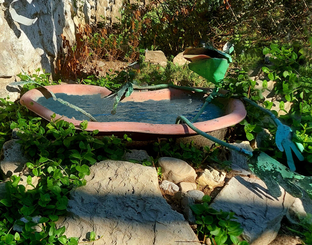 когда до моря лень идти - ИРЭН@ .