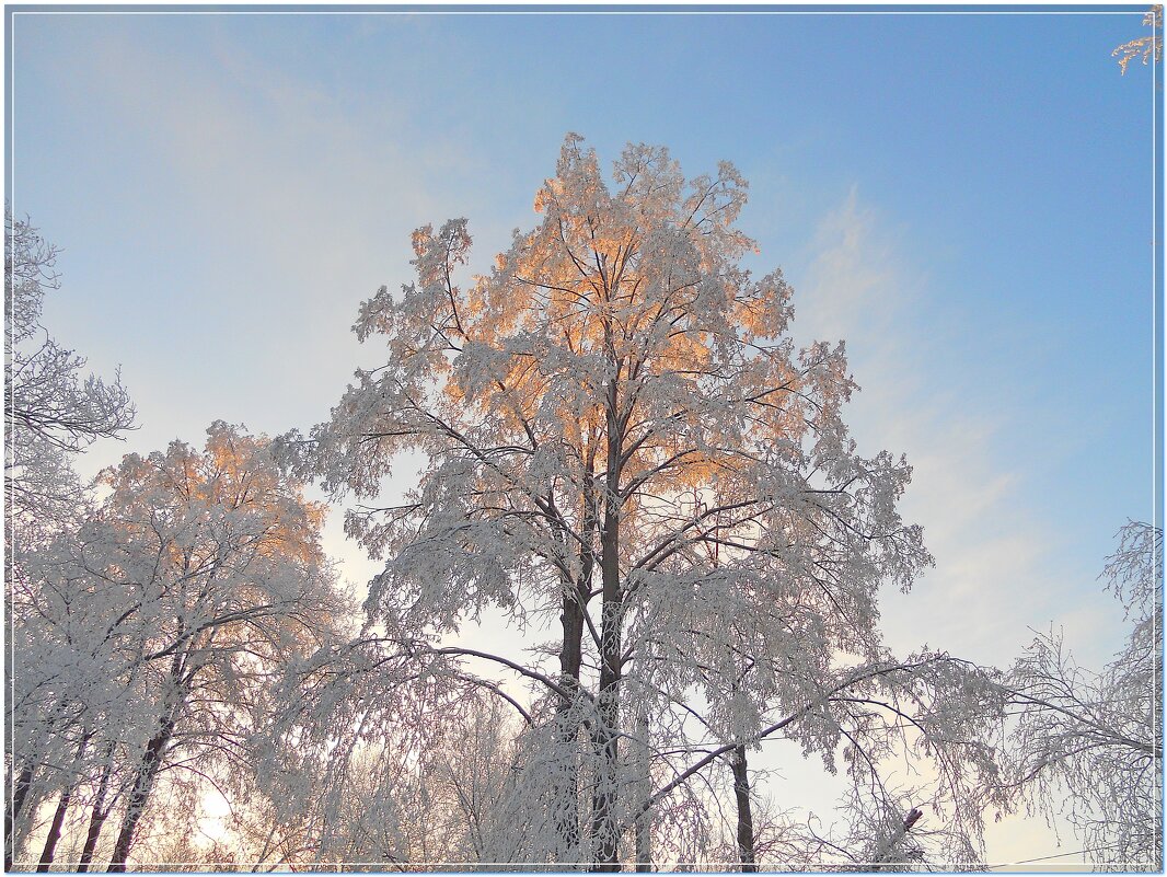 Солнечный день - Сергей Швечков Солнечный день - Сергей Швечков