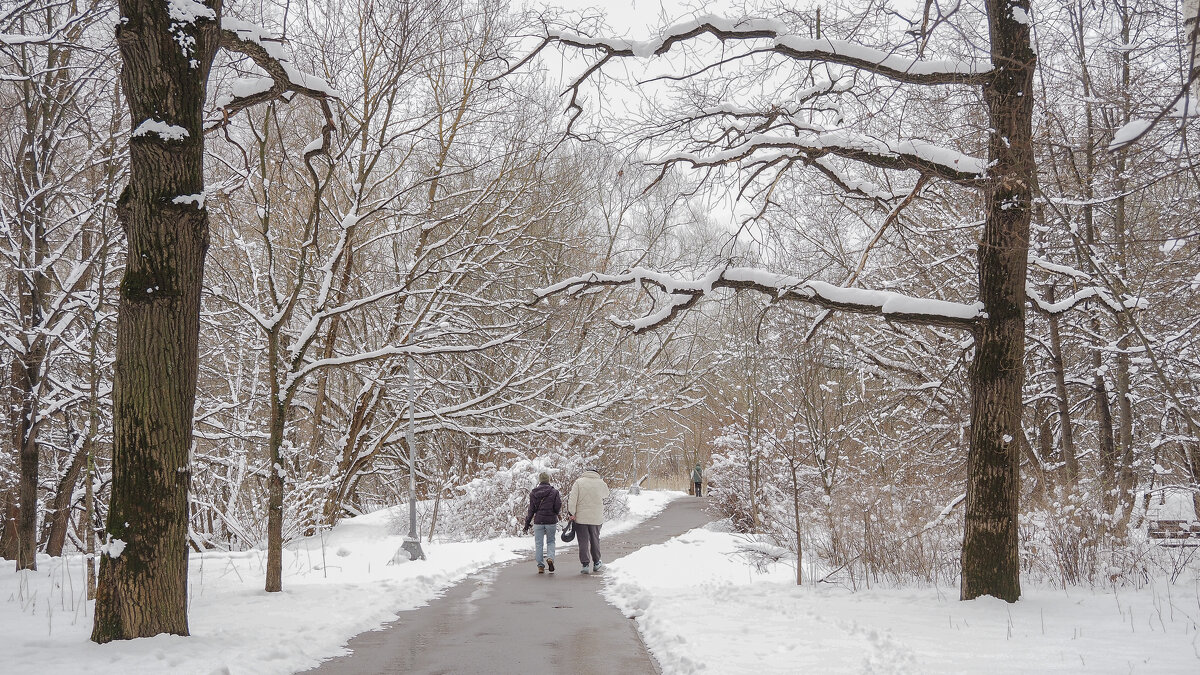 Зима не Сдаётся - юрий поляков